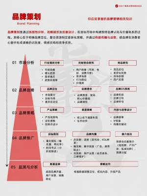 万字长文|品牌白皮书实施步骤从战略到执行全解析